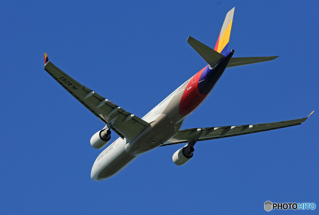 「すかい」Asiana A330-323 HL8293 Takeoff