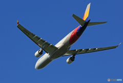 「すかい」Asiana A330-323 HL8293 Takeoff