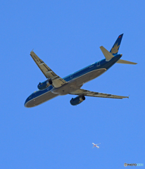 「そらー」 Vietnam A321-231 VN-A606+ 飛行