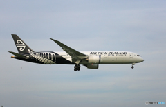 [青い空]Air NZ' B787-9 ZK-NZI Landing