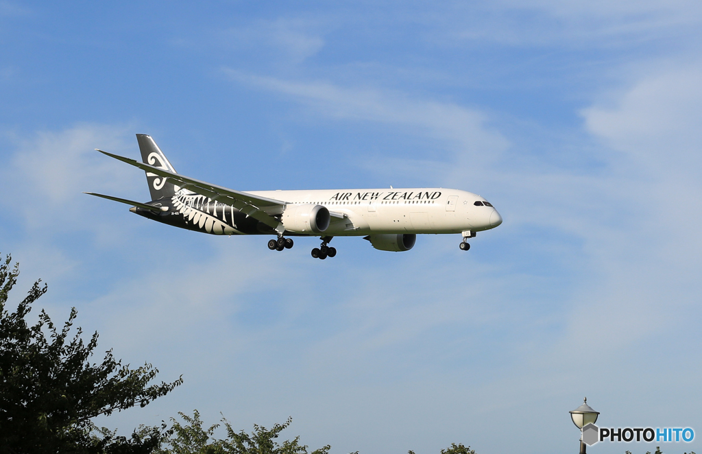 「真青の空」 Air New Zealand B787-9 ZK-NZC　