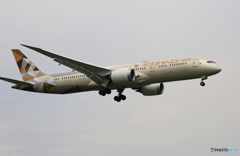 「曇り」 Etihad 787-9 A6-BLM Landing