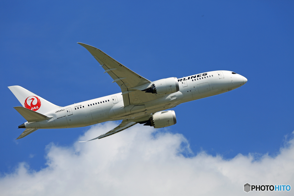 「SKY」 JAL 787-8 JA845J 出発です