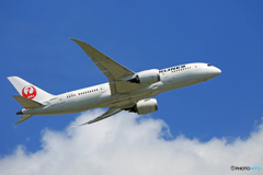 「SKY」 JAL 787-8 JA845J 出発です