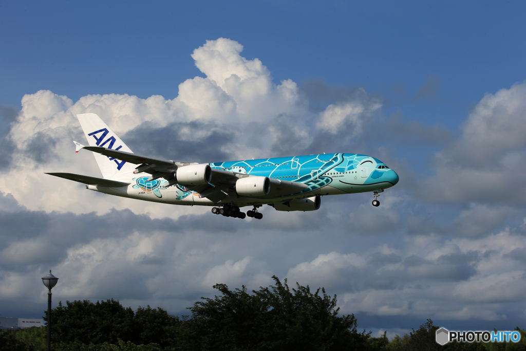 「ブルー」ANA A380-841 JA382A 着陸