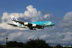 「ブルー」ANA A380-841 JA382A 着陸