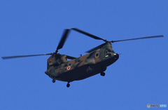 「青い空」✈✈　日本を守る　☮☮