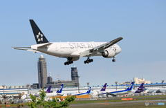 UNITED スタアラ 777-224 N76021 着陸