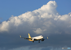 「すかい」 バニラ　A320 到着です ☮
