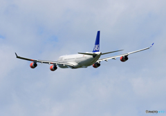 「青が大好き」 SAS A340-313 OY-KBD Takeoff