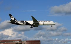 「青色が好き」 Air NZ' 787-9 ZK-NZD 着陸です