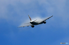 「群青」 中国東方A330 ベイパー　飛ぶ