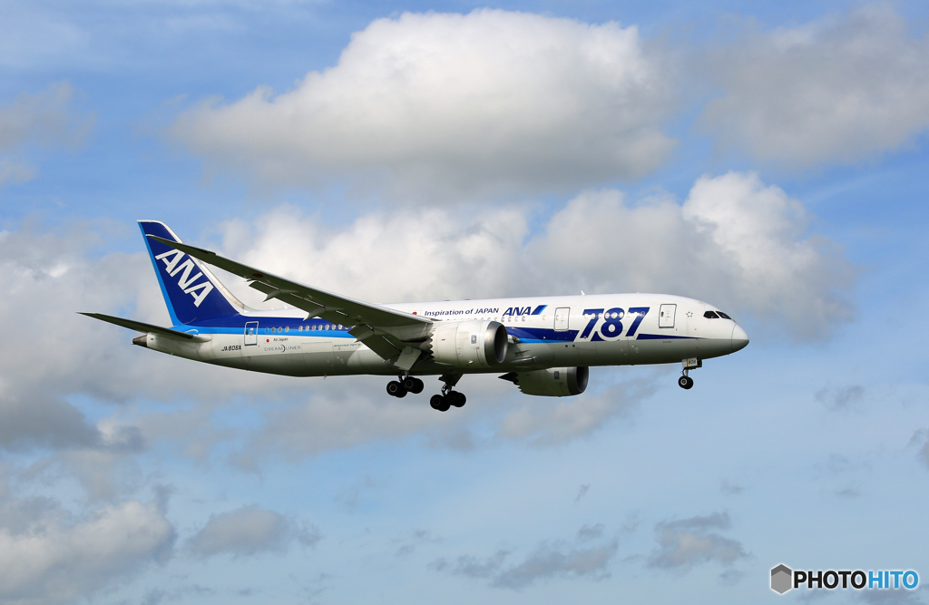 「青が好き」 ANA 787-8 JA805A 飛行
