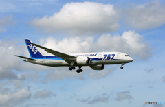 「青が好き」 ANA 787-8 JA805A 飛行