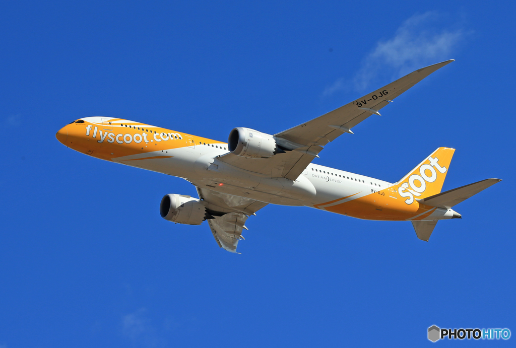 「真青の空」 scoot 787-9 9V-OJG 飛び立ち