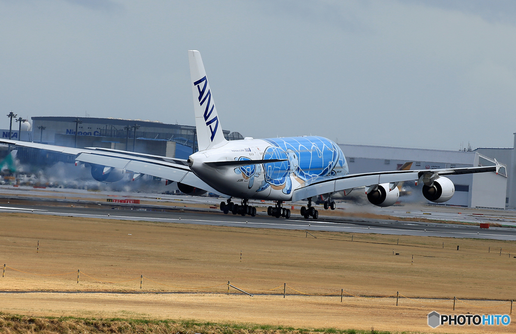 「群青色」？ANA A380-841 「ホヌ」JA381A 通過