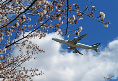 「青が大好き」 CATHAY 747 Takeoff