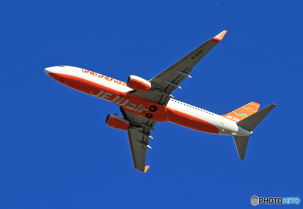 「青」☆ JEJU 737-8AS HL8088 飛行