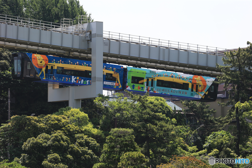 「晴れ」緑を駆け抜ける (11)
