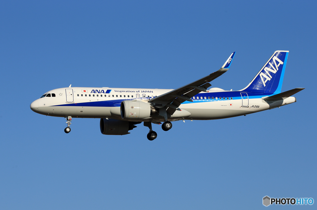 「空色」 ANA A320-271N JA216A 到着です