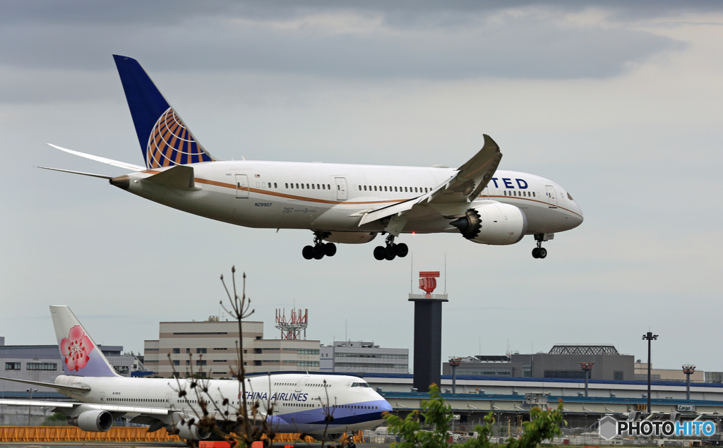 「☁」 UNITED 787-8 N29907 Landing