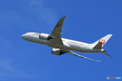 「あおいそら」JAL 787-8 JA844J　Takeoff  