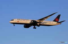 ☀「あおぞら」 AIR CANADA 787-9 C-FVLQ Landing