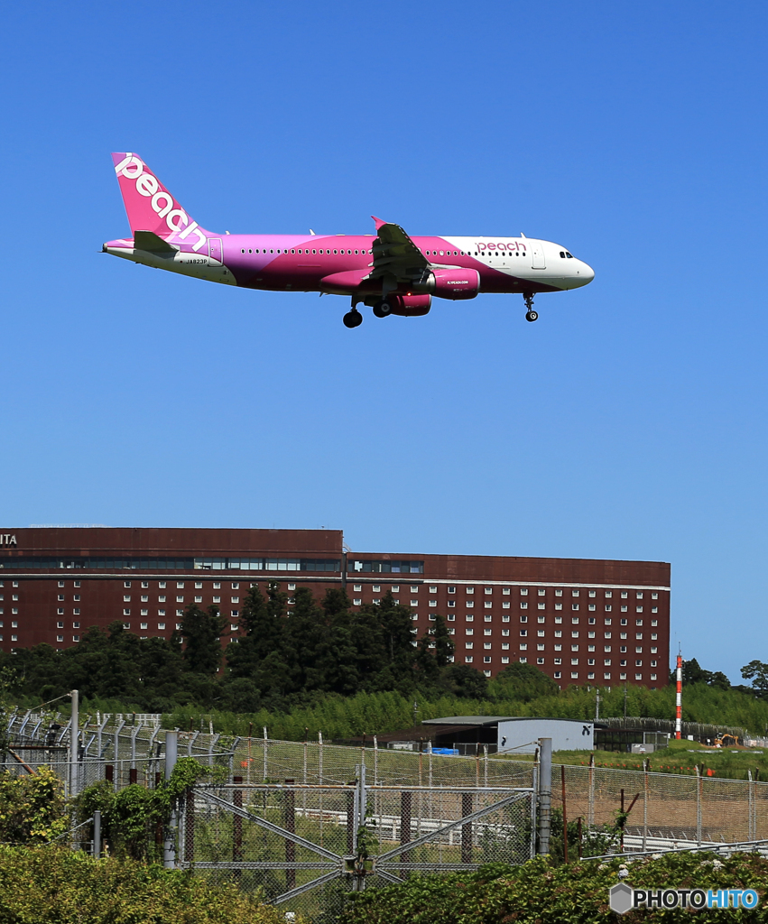 「蒼空」peach A320-214 JA823P 着陸します