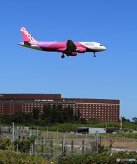 「蒼空」peach A320-214 JA823P 着陸します