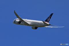 「真青の空」LOT 787-8 SP-LSA 飛行