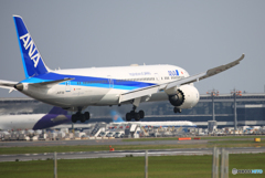 「青空」 ANA 787-9 JA874A Landing