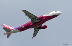 「青が好き」 peach A320 RUNE JA816P Takeoff