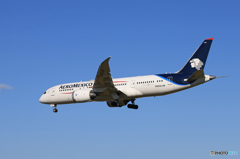 「すかい」 AEROMEXICO 787-8 N966AM Landing