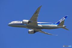 「晴れ」 ANA 787-8 JA828A 飛び立ちです
