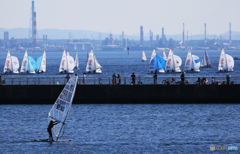 「青い海」大会・ヨットセーリング