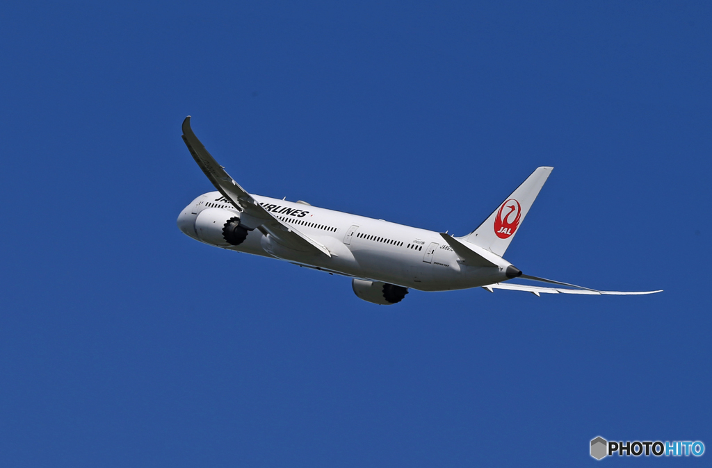 「すかい」 JAL 787-9 JA861J 飛び立ち