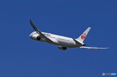 「すかい」 JAL 787-9 JA861J 飛び立ち