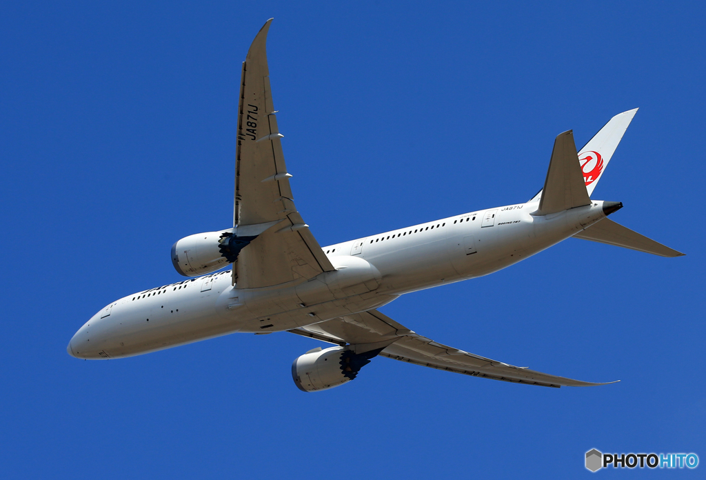「青色」 JAL 787-9 JA871J 飛ぶ