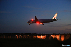 「そらー」 シルエットJapan Airlines 787着陸です
