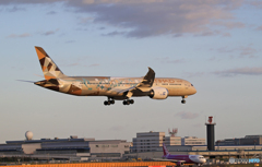 「青の空」ETIHAD 787-9 サウジ版 A6-BLN  Landing　