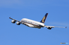 「ブルー」Singapore A380-841 9V-SKL 飛び立ちです