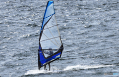 「青い海」Youも来て