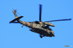 「青が大好き」陸上自衛隊 ヘリコプター・見る　