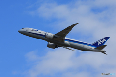 「ブルー」ANA 787-8 JA837A Takeoff 