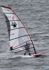 「スカイ」充実の日々