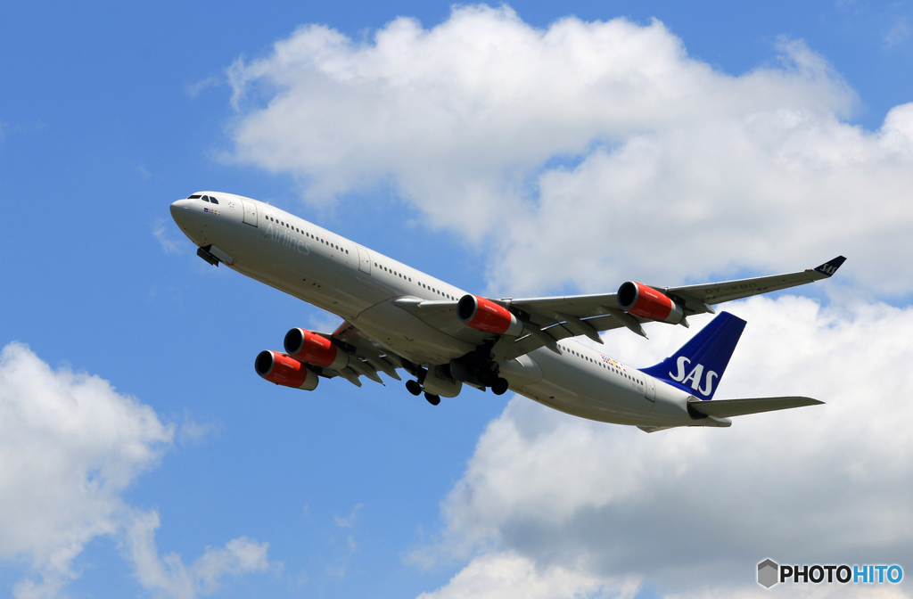 「すかい」 SAS A340-313 OY-KBD 飛行 