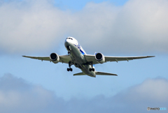 「空色」 ANA 787-8 JA806A 飛び立ち