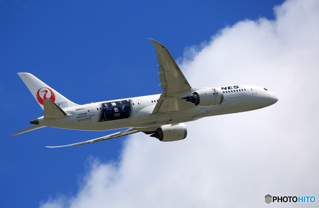 「真青の空」 JAL 「勝色」 787-8 JA841J 出発です