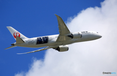 「真青の空」 JAL 「勝色」 787-8 JA841J 出発です