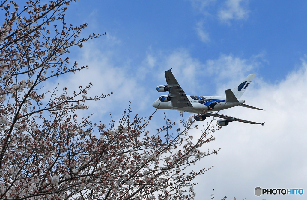 「青が大好き」マレーシア航空A380-841 Takeoff 